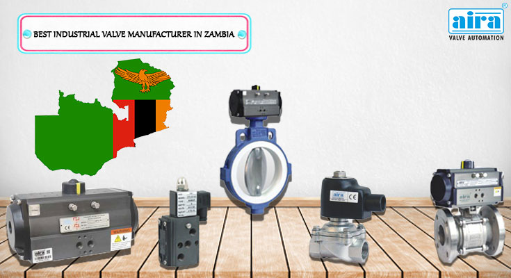 valve manufacturer in Zambia